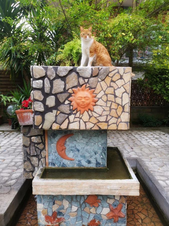 Guest House Il Limone Nascosto روما المظهر الخارجي الصورة