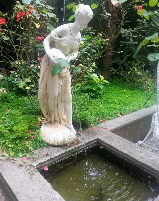 Guest House Il Limone Nascosto روما المظهر الخارجي الصورة